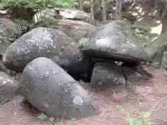 名草厳島神社の自然