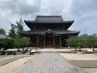 本山専修寺の本殿・本堂