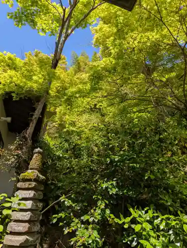 長法寺(京都府)
