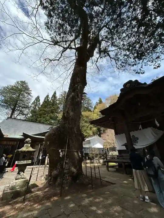 新海三社神社の{uncategorized: "未分類", other: "その他", undefined: "問題あり", building: "その他建物", grave: "お墓", sacred_gate: "鳥居", guardian: "狛犬", statue: "像", buddha: "仏像", history: "歴史", nature: "自然", garden: "庭園", animal: "動物", pagoda: "塔", temizu: "手水舎", mountain_gate: "山門・神門", sanctuary: "本殿・本堂", subordinate: "末社・摂社", art: "芸術", scenery: "景色", jizo: "地蔵", ema: "絵馬", goshuin: "御朱印", omikuji: "おみくじ", items: "授与品その他", amulet: "お守り", goshuincho: "御朱印帳", eats: "食事", festival: "お祭り", votive_dance: "神楽", shichigosan: "七五三参", wedding: "結婚式", experience: "体験その他", initially: "初詣", around: "周辺", anti_infection: "感染症対策"}