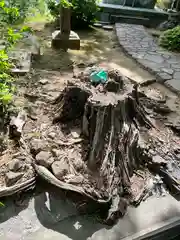 伊豆山神社(静岡県)