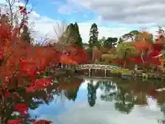 禅林寺（永観堂）(京都府)