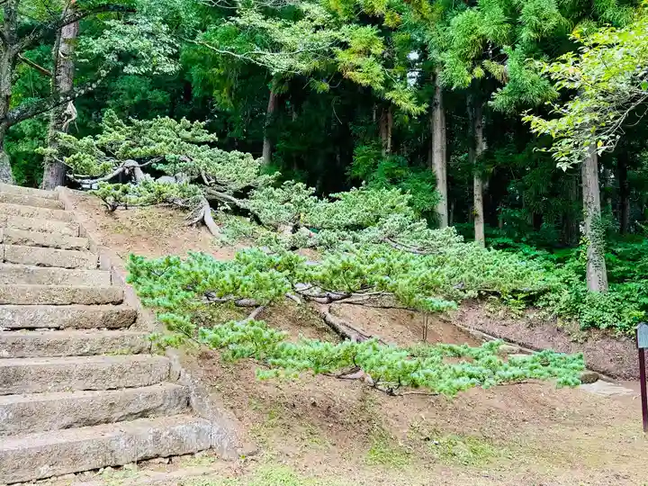 土津神社|こどもと出世の神さま(福島県)