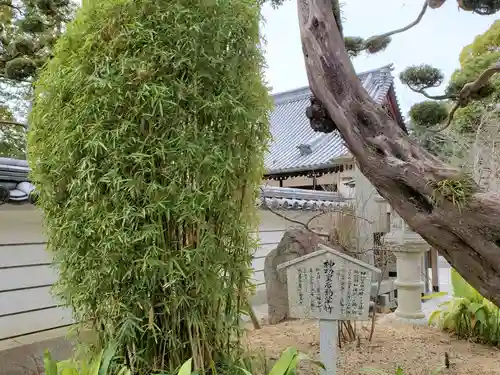 福祥寺（須磨寺）の自然