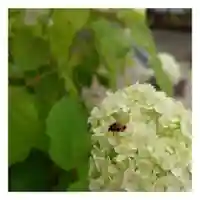 岐阜稲荷山本社(岐阜県)