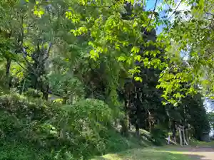 大宮温泉神社(栃木県)(2023年05月16日(火) 08時09分47秒投稿)