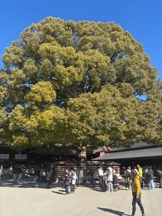 明治神宮(東京都)