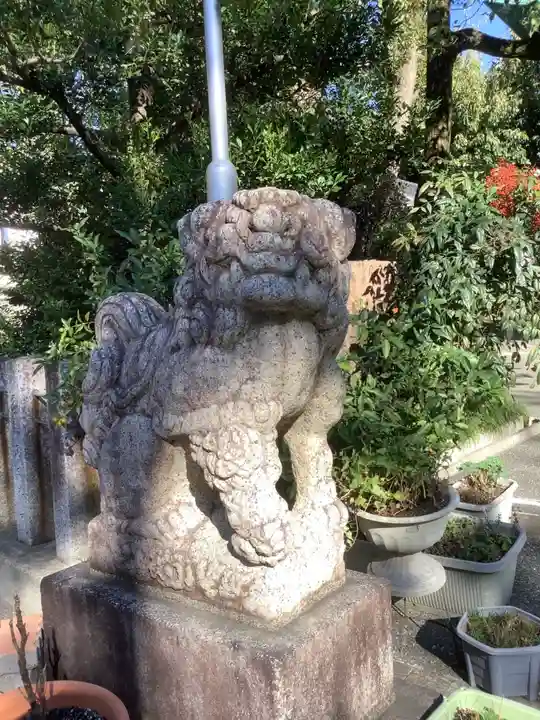 白山神社(新栄)の狛犬
