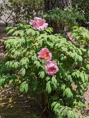 建仁寺（建仁禅寺）(京都府)