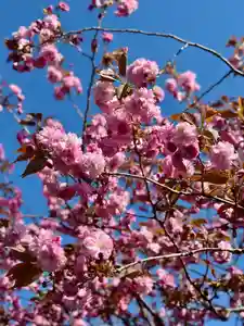 伊達神社(北海道)(2026年05月08日(金) 18時08分45秒投稿)