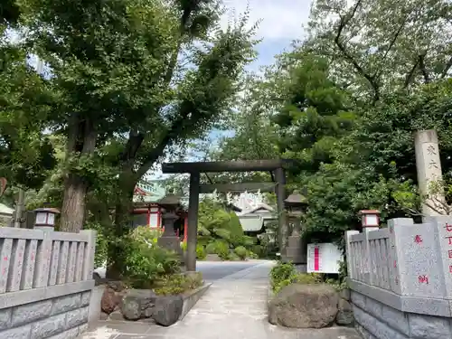 東大島神社の鳥居