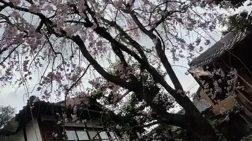 祐正寺(京都府)