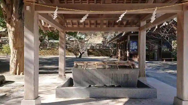 安房神社の手水舎