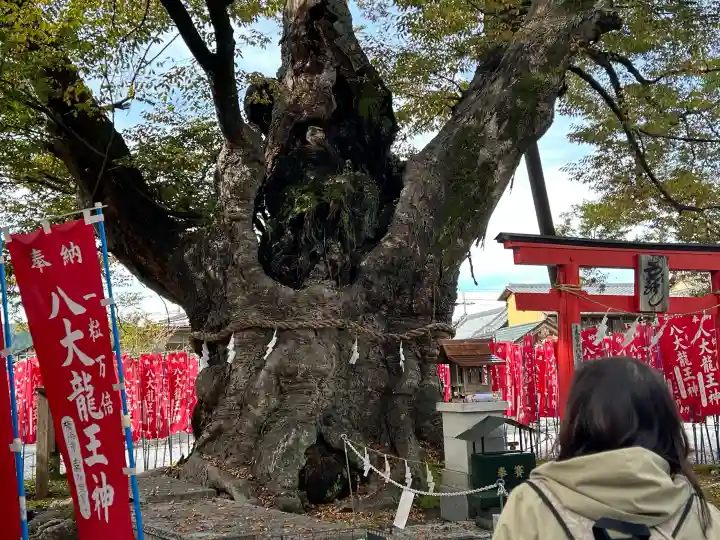 秩父今宮神社の{uncategorized: "未分類", other: "その他", undefined: "問題あり", building: "その他建物", grave: "お墓", sacred_gate: "鳥居", guardian: "狛犬", statue: "像", buddha: "仏像", history: "歴史", nature: "自然", garden: "庭園", animal: "動物", pagoda: "塔", temizu: "手水舎", mountain_gate: "山門・神門", sanctuary: "本殿・本堂", subordinate: "末社・摂社", art: "芸術", scenery: "景色", jizo: "地蔵", ema: "絵馬", goshuin: "御朱印", omikuji: "おみくじ", items: "授与品その他", amulet: "お守り", goshuincho: "御朱印帳", eats: "食事", festival: "お祭り", votive_dance: "神楽", shichigosan: "七五三参", wedding: "結婚式", experience: "体験その他", initially: "初詣", around: "周辺", anti_infection: "感染症対策"}