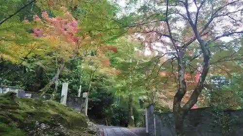 吟松寺の景色