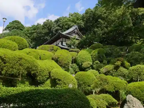 等覚院の庭園