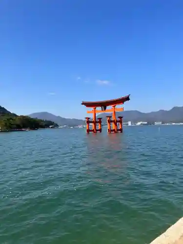 厳島神社の{uncategorized: "未分類", other: "その他", undefined: "問題あり", building: "その他建物", grave: "お墓", sacred_gate: "鳥居", guardian: "狛犬", statue: "像", buddha: "仏像", history: "歴史", nature: "自然", garden: "庭園", animal: "動物", pagoda: "塔", temizu: "手水舎", mountain_gate: "山門・神門", sanctuary: "本殿・本堂", subordinate: "末社・摂社", art: "芸術", scenery: "景色", jizo: "地蔵", ema: "絵馬", goshuin: "御朱印", omikuji: "おみくじ", items: "授与品その他", amulet: "お守り", goshuincho: "御朱印帳", eats: "食事", festival: "お祭り", votive_dance: "神楽", shichigosan: "七五三参", wedding: "結婚式", experience: "体験その他", initially: "初詣", around: "周辺", anti_infection: "感染症対策"}