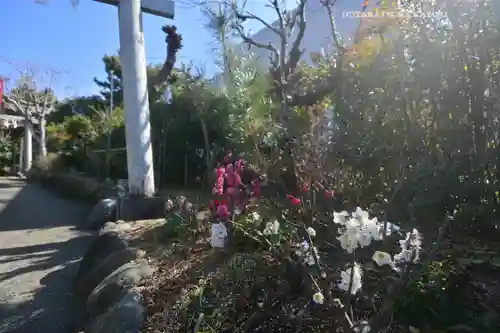 横浜御嶽神社(神奈川県)