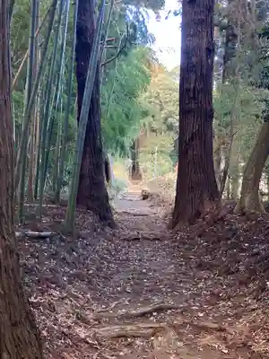 青山神社(茨城県)