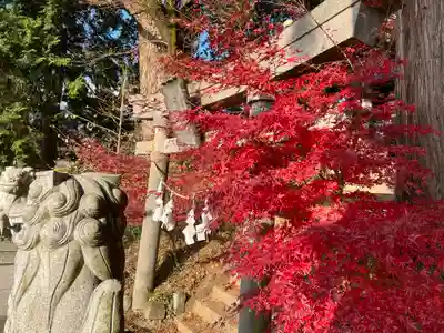 若宮八幡神社(山梨県)