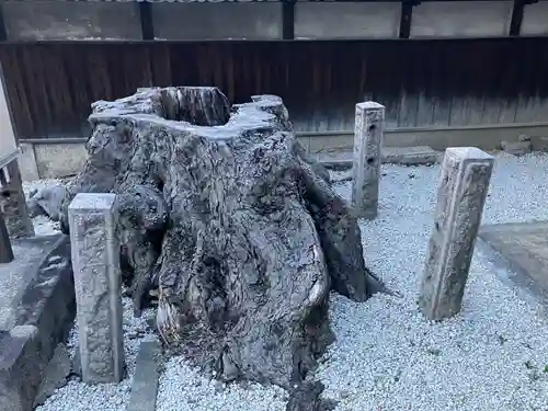地蔵寺の自然