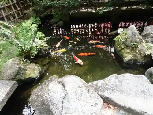 水鏡天満宮の庭園