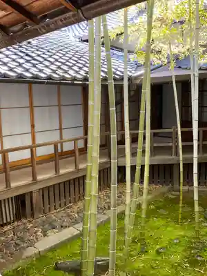 妙顯寺（妙顕寺）(京都府)