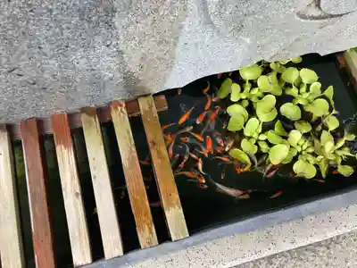 宇和津彦神社(愛媛県)