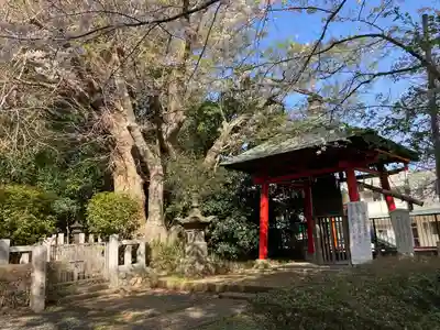 前鳥神社(神奈川県)