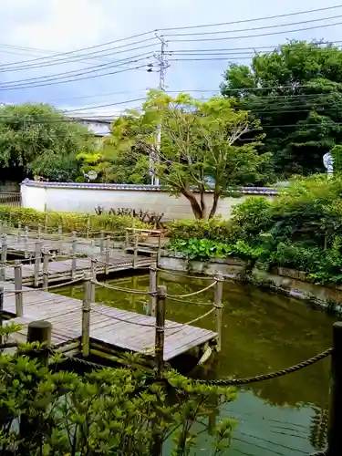 大巌寺の庭園