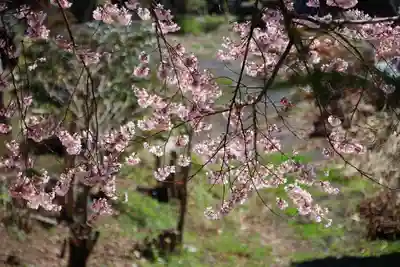荒井馬頭観音堂の景色