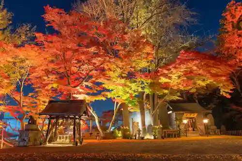 温泉神社〜いわき湯本温泉〜の自然