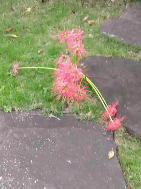 盛源寺(神奈川県)
