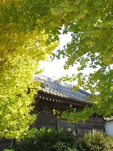 八幡神社(千葉県)