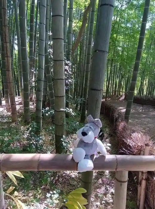 八王寺(埼玉県)