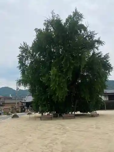 吉備津神社(広島県)