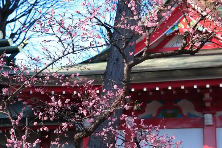 川越八幡宮の{uncategorized: "未分類", other: "その他", undefined: "問題あり", building: "その他建物", grave: "お墓", sacred_gate: "鳥居", guardian: "狛犬", statue: "像", buddha: "仏像", history: "歴史", nature: "自然", garden: "庭園", animal: "動物", pagoda: "塔", temizu: "手水舎", mountain_gate: "山門・神門", sanctuary: "本殿・本堂", subordinate: "末社・摂社", art: "芸術", scenery: "景色", jizo: "地蔵", ema: "絵馬", goshuin: "御朱印", omikuji: "おみくじ", items: "授与品その他", amulet: "お守り", goshuincho: "御朱印帳", eats: "食事", festival: "お祭り", votive_dance: "神楽", shichigosan: "七五三参", wedding: "結婚式", experience: "体験その他", initially: "初詣", around: "周辺", anti_infection: "感染症対策"}