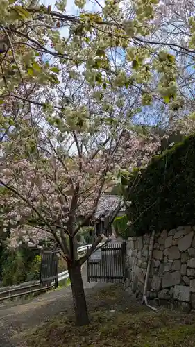 圓光寺(京都府)