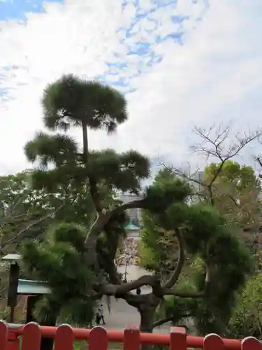 清水観音堂の景色