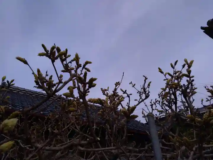 倶梨迦羅神社の自然