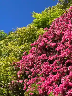 秋葉山本宮 秋葉神社 上社(静岡県)