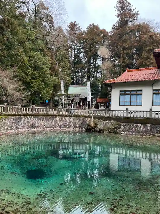 嚴島神社(山口県)