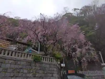 根岸八幡神社(神奈川県)