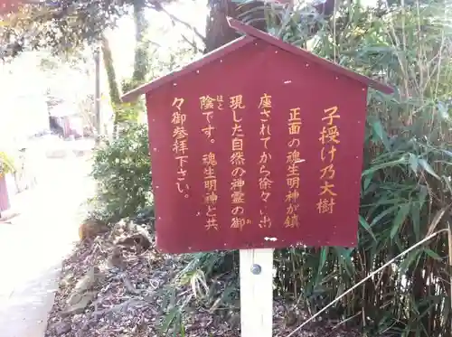 大鷲神社の歴史