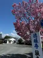 祇園山 徳城寺の{uncategorized: "未分類", other: "その他", undefined: "問題あり", building: "その他建物", grave: "お墓", sacred_gate: "鳥居", guardian: "狛犬", statue: "像", buddha: "仏像", history: "歴史", nature: "自然", garden: "庭園", animal: "動物", pagoda: "塔", temizu: "手水舎", mountain_gate: "山門・神門", sanctuary: "本殿・本堂", subordinate: "末社・摂社", art: "芸術", scenery: "景色", jizo: "地蔵", ema: "絵馬", goshuin: "御朱印", omikuji: "おみくじ", items: "授与品その他", amulet: "お守り", goshuincho: "御朱印帳", eats: "食事", festival: "お祭り", votive_dance: "神楽", shichigosan: "七五三参", wedding: "結婚式", experience: "体験その他", initially: "初詣", around: "周辺", anti_infection: "感染症対策"}