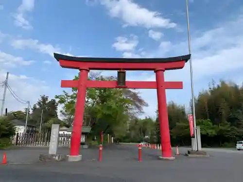 白笹稲荷神社の鳥居