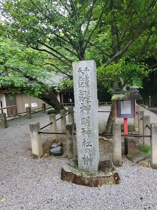 塚崎神明社の自然