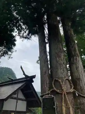 奥氷川神社(東京都)