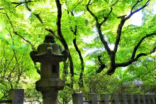 宗形神社の建物その他