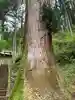 加蘇山神社の自然